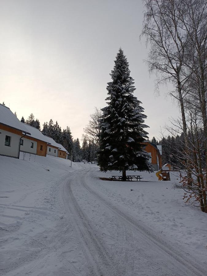 Holiday home Pod Binovem Smrzovka